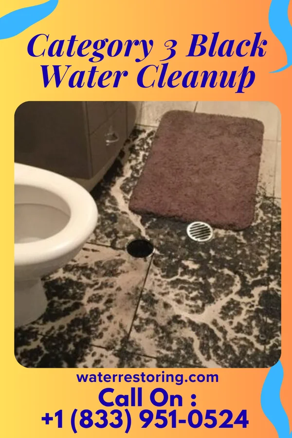 Category 3 Black Water Cleanup in Stouchsburg, PA